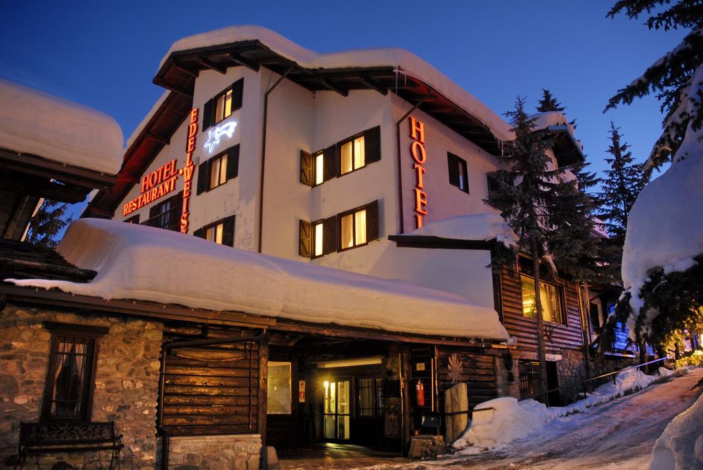 Hotel Edelweiss &