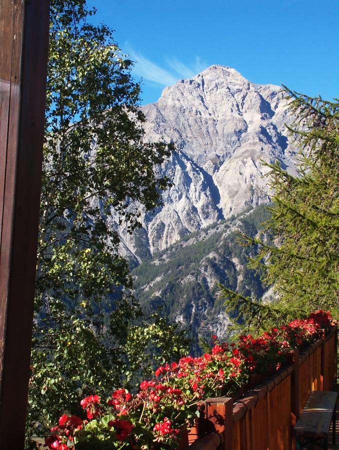 Edelweiss Hotel 4*